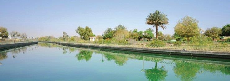 One To One Hotel & Resort Ain Al Faida Al Ain Ngoại thất bức ảnh